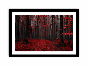 Red Trees  Art Print