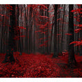 Dark forest canvas art with red leaves and mist for modern living room decor.