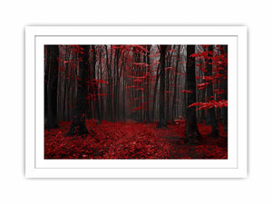 Dark forest canvas art with red leaves and mist for modern living room decor.