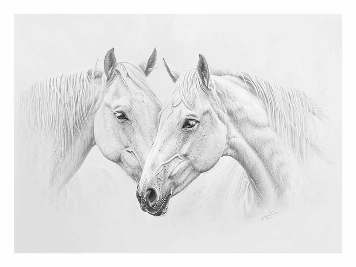 Two white horses pencil drawing canvas art for calm farmhouse living room decor.