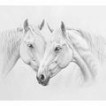 Two Horses 