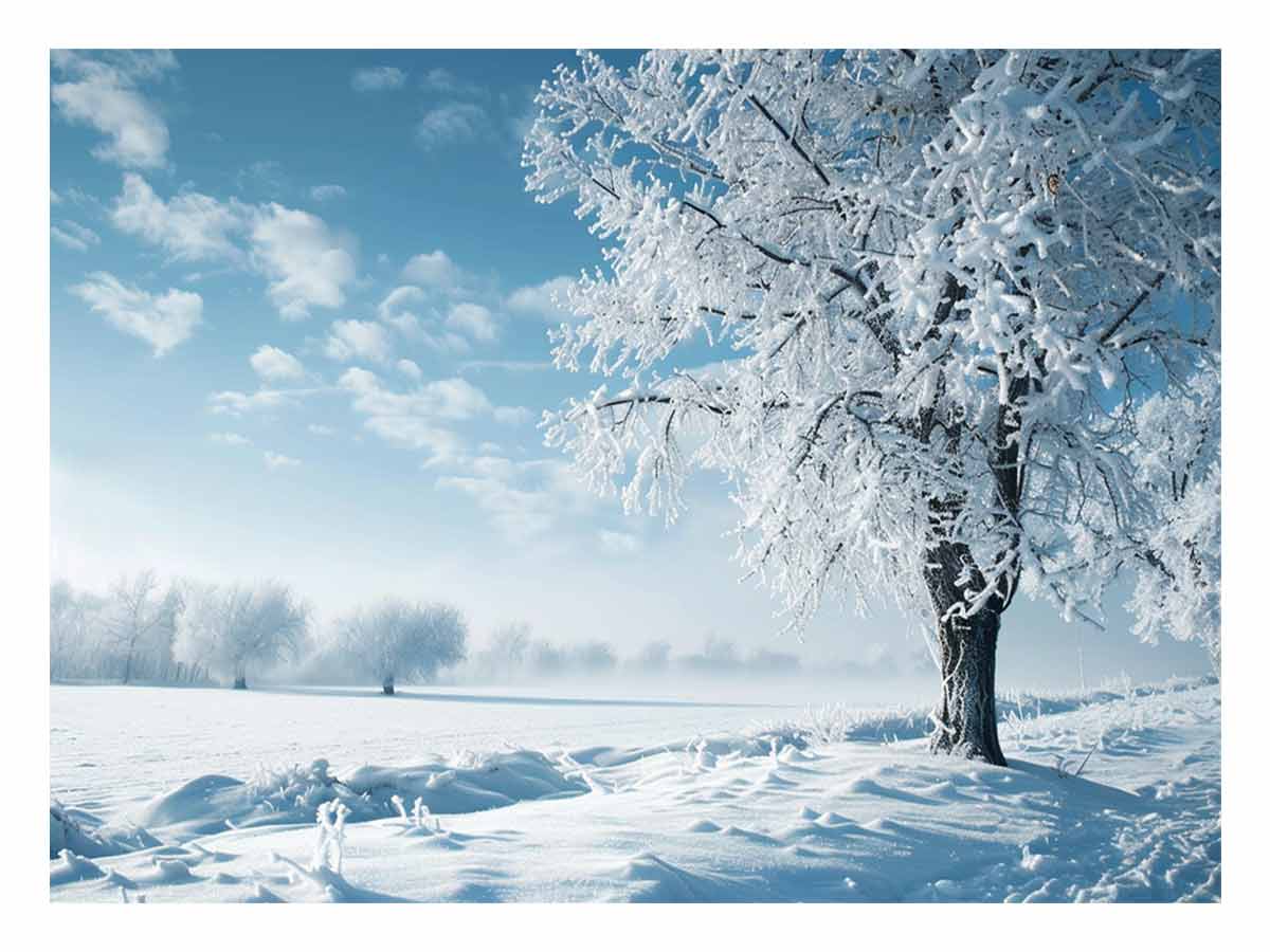 Winter 