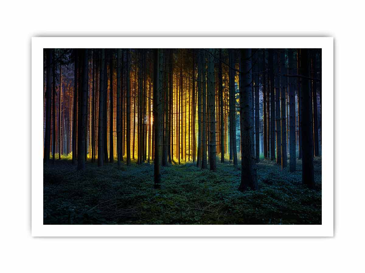 Framed print