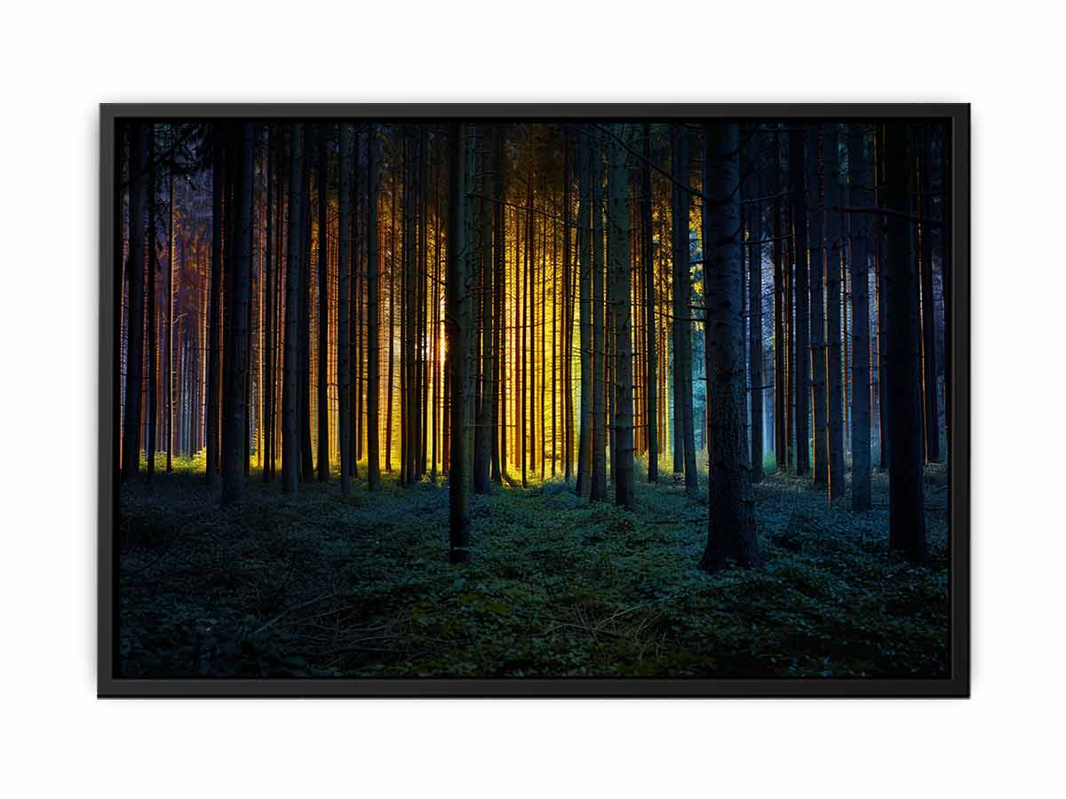 Golden light forest photography canvas art for dramatic modern living room decor.