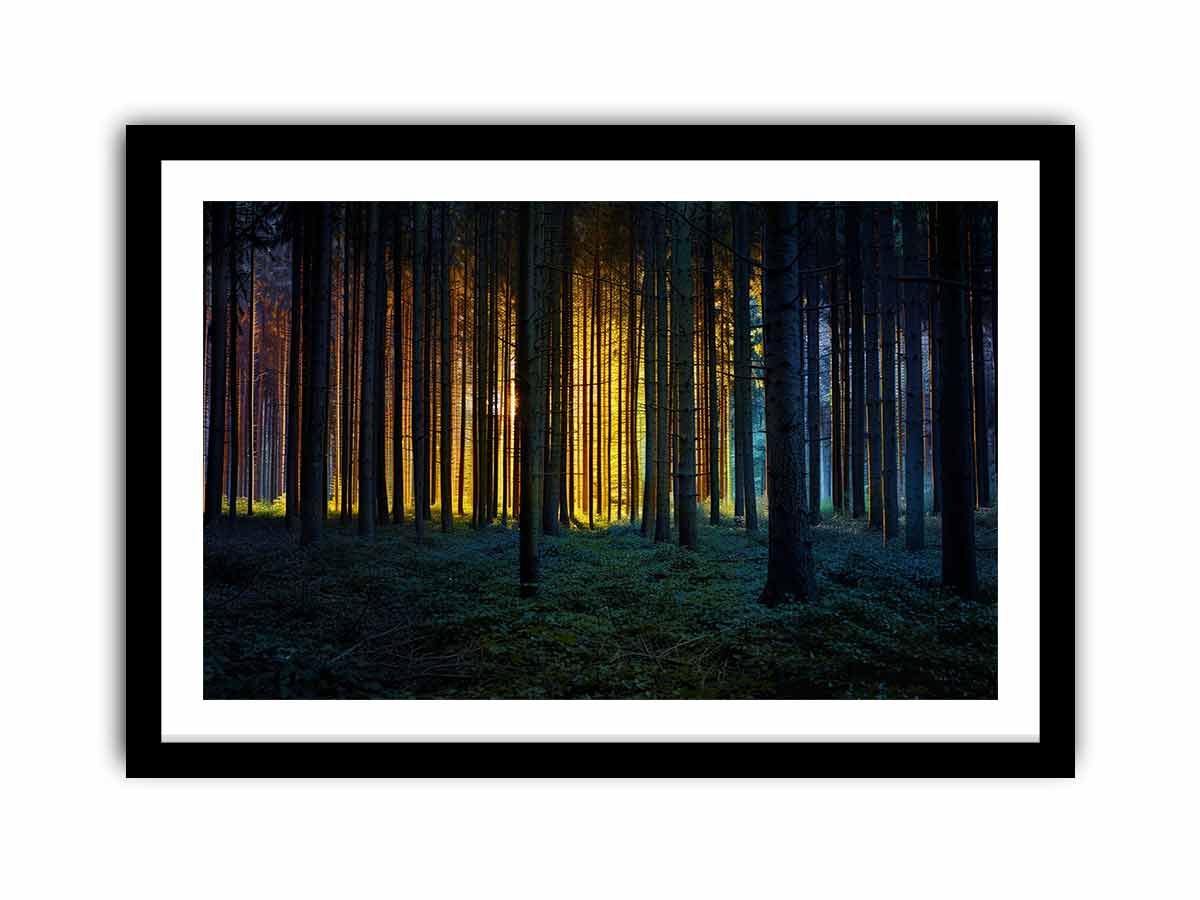 Golden light forest photography canvas art for dramatic modern living room decor.