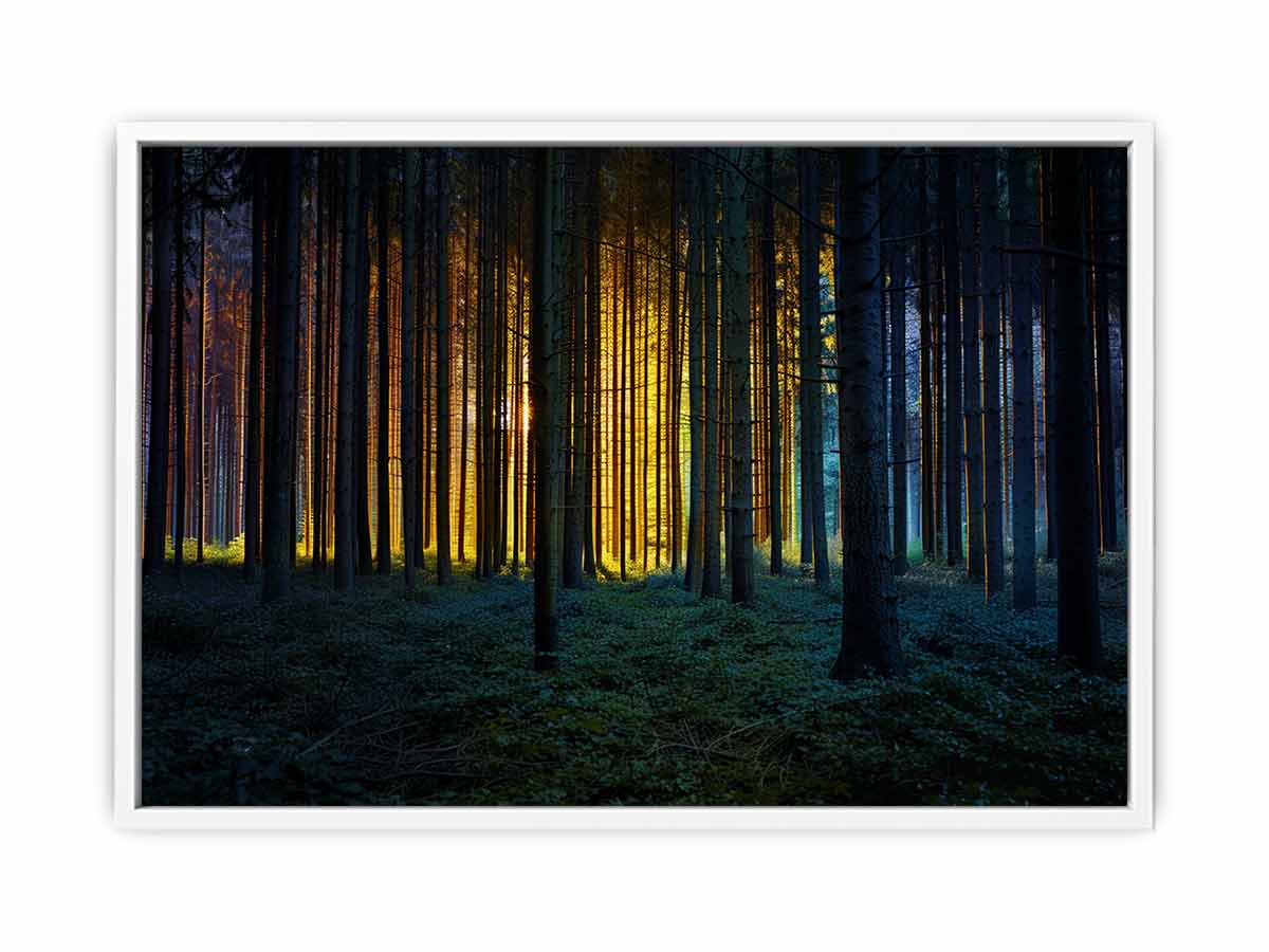 Golden light forest photography canvas art for dramatic modern living room decor.