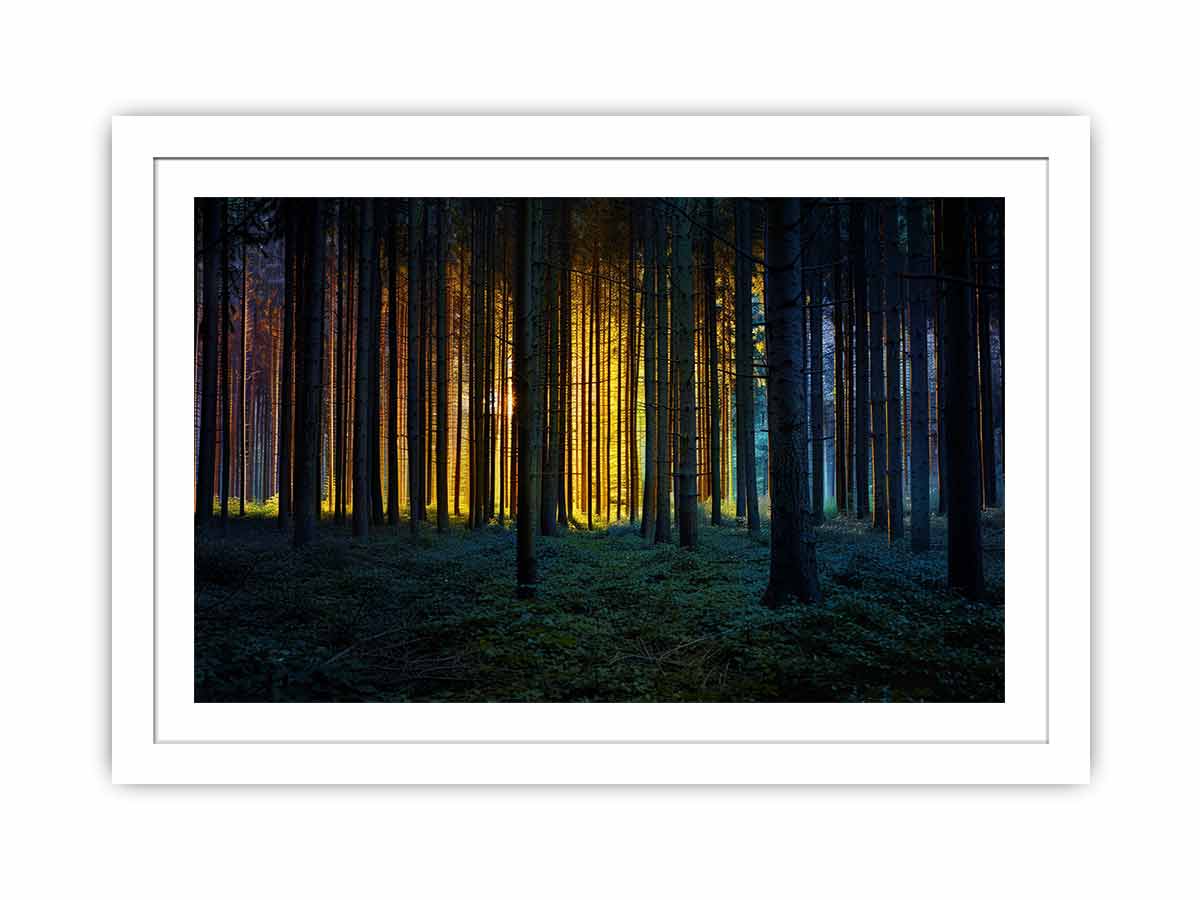 Golden light forest photography canvas art for dramatic modern living room decor.