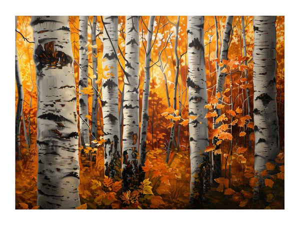 Birch Trees