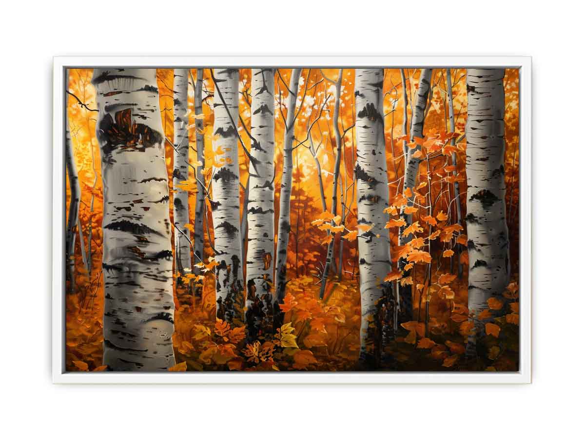 Birch Trees Framed Print