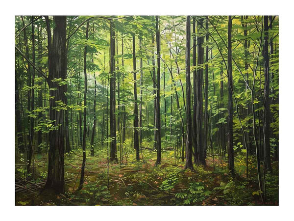 Northern Hardwood Forest Painting