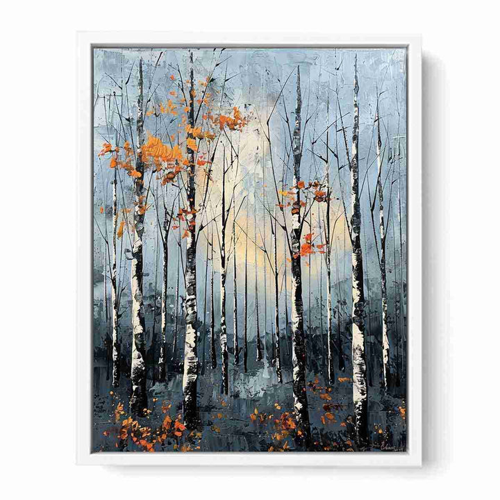 Birch Forest  Framed Print