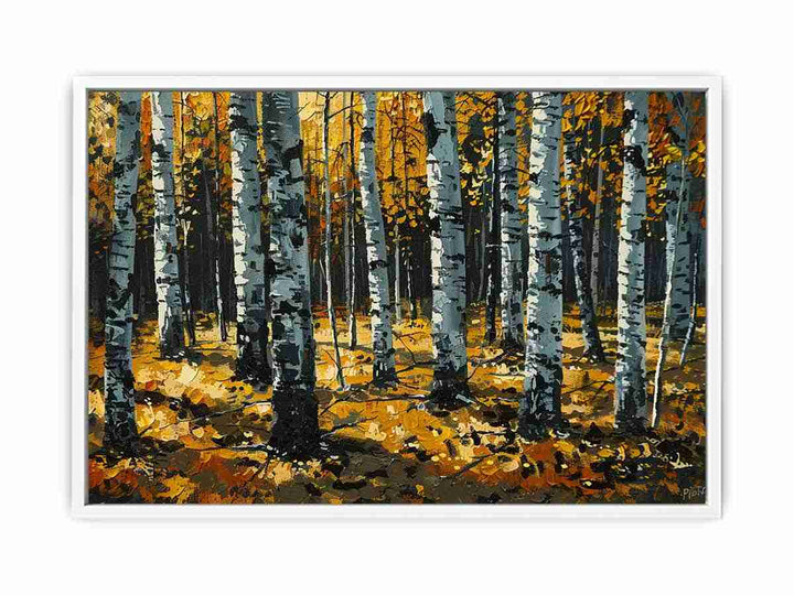 Birch  Trees  Framed Print