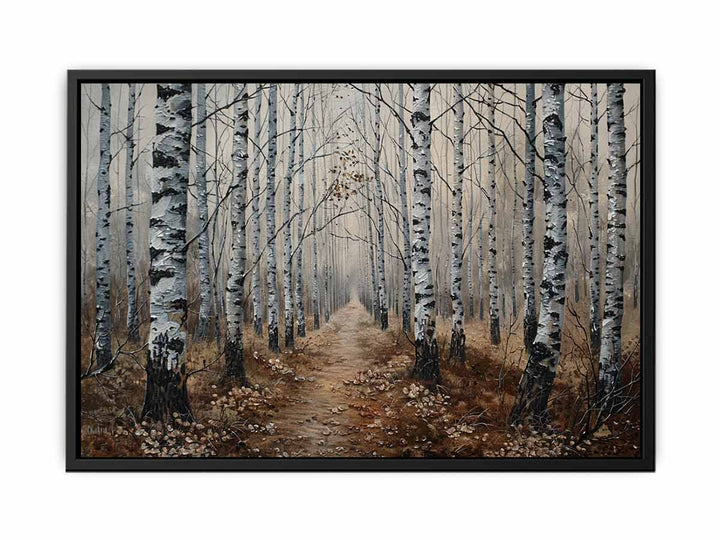 Grey Birch Trees  Canvas Print