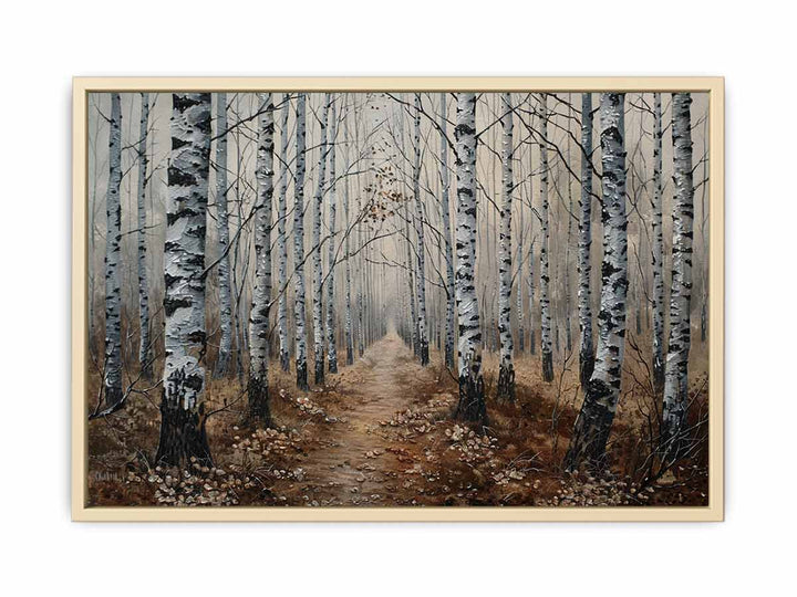 Grey Birch Trees  Art Print