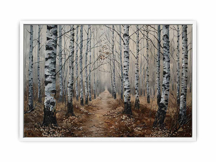 Grey Birch Trees Framed Print