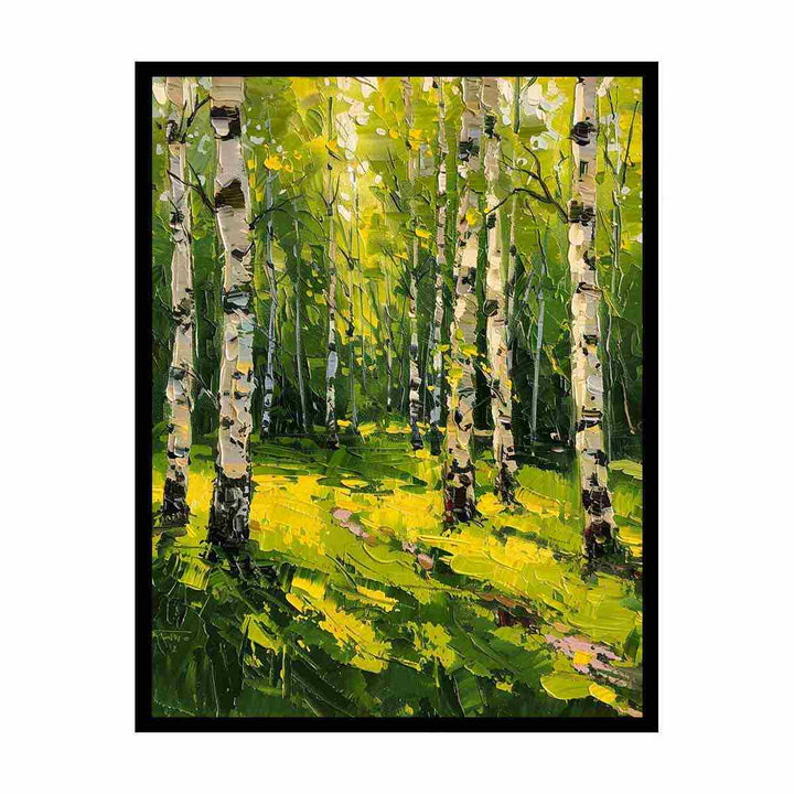 Birch Trees  Canvas Print