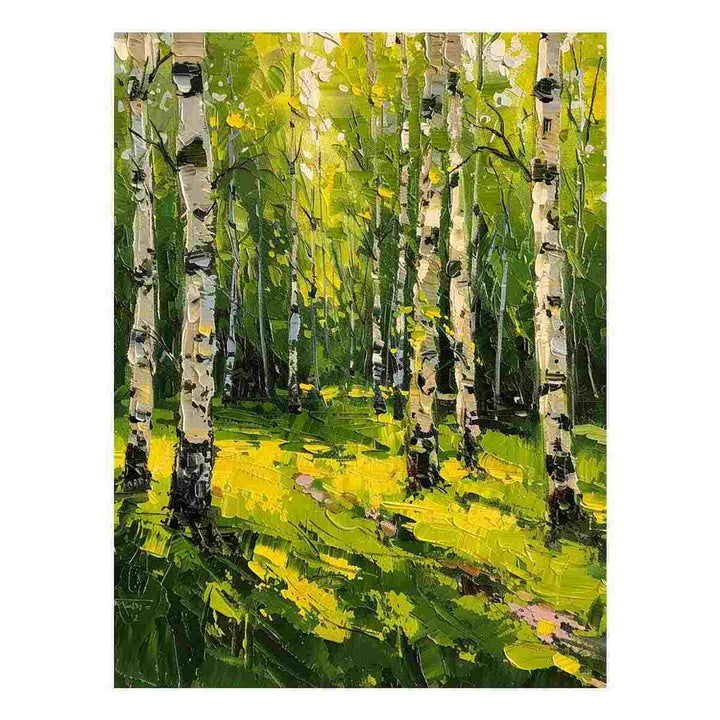 Birch Trees