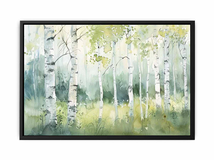 Birch Trees  Canvas Print