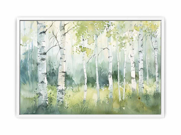 Birch Trees Framed Print
