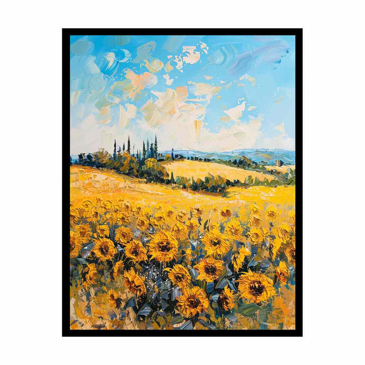 Sunflower Field   Canvas Print