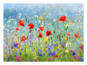 Wild flowers