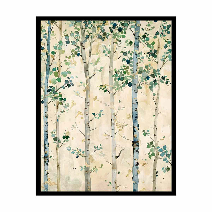 Birch Trees  Canvas Print