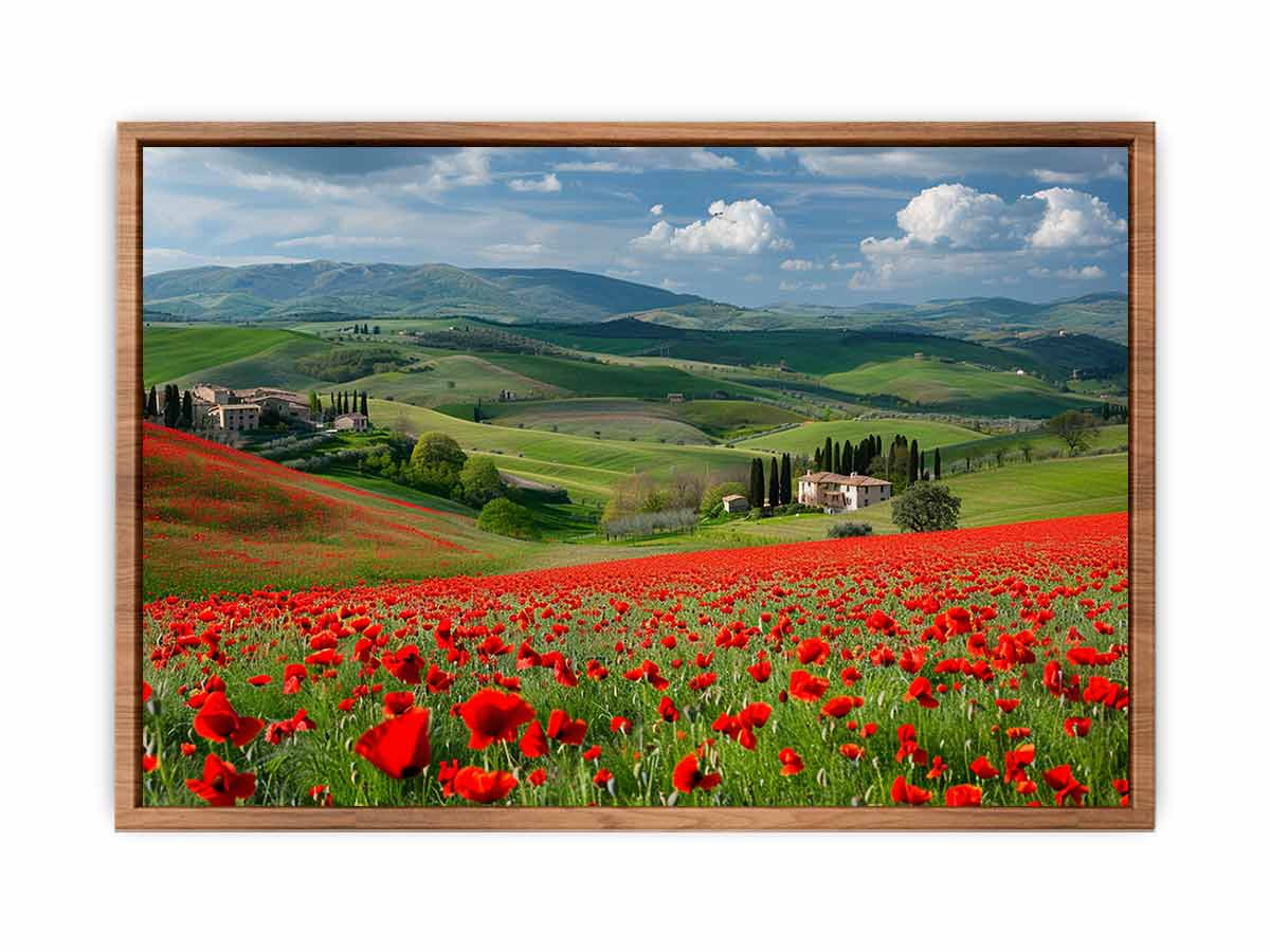 Field Of Poppies Poster