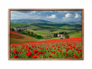 Field Of Poppies Poster