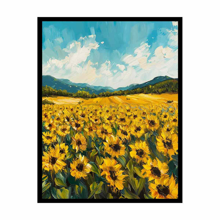 Sunflower Field  Canvas Print