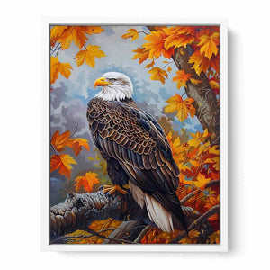 Eagle Framed Print