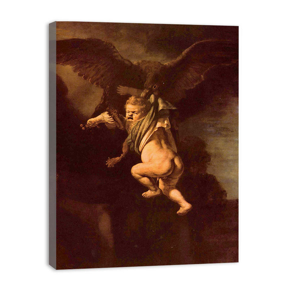 The Abduction Of Ganymede