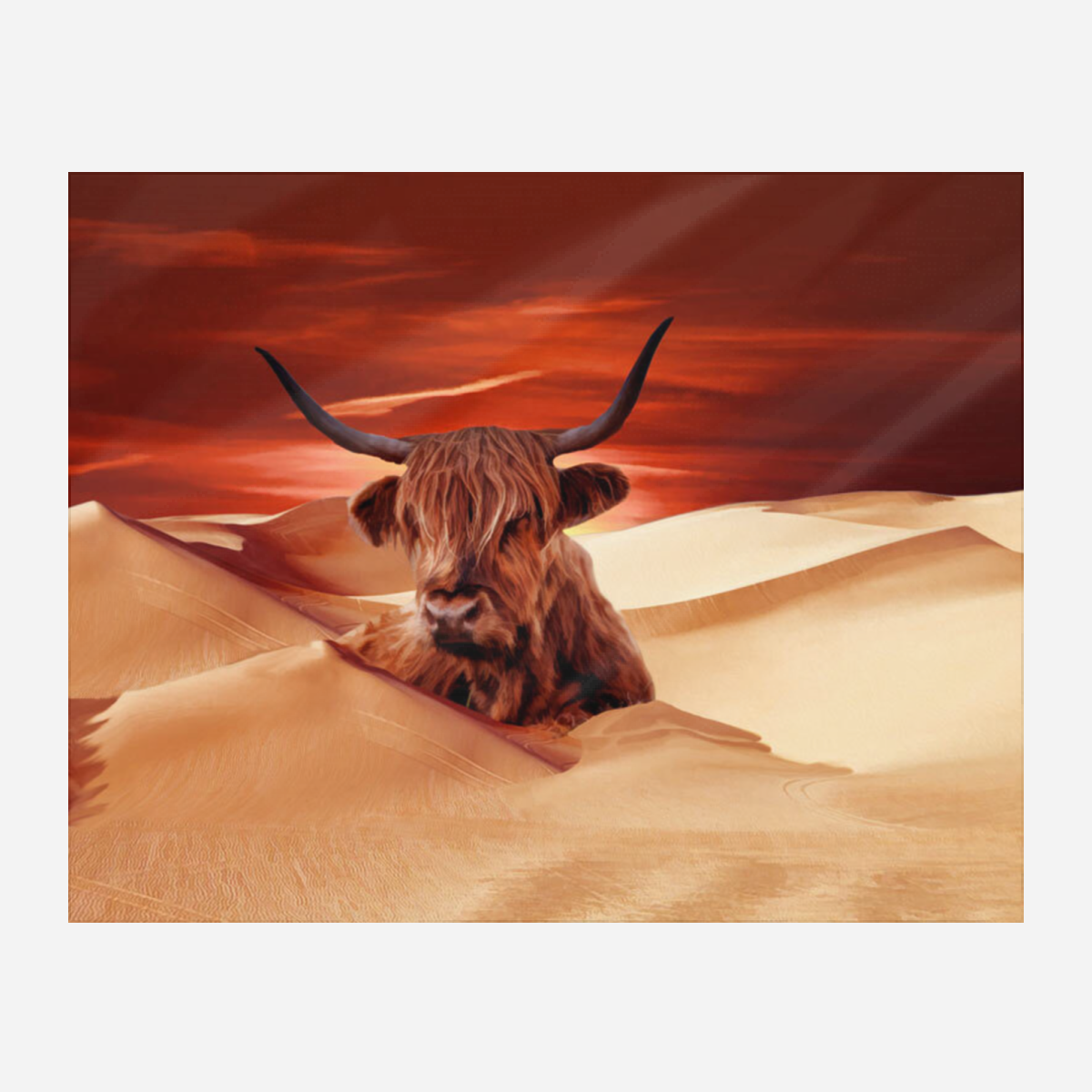 Highland Cow Blanket