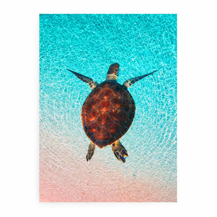  Sea Turtle  Wall Art Painting