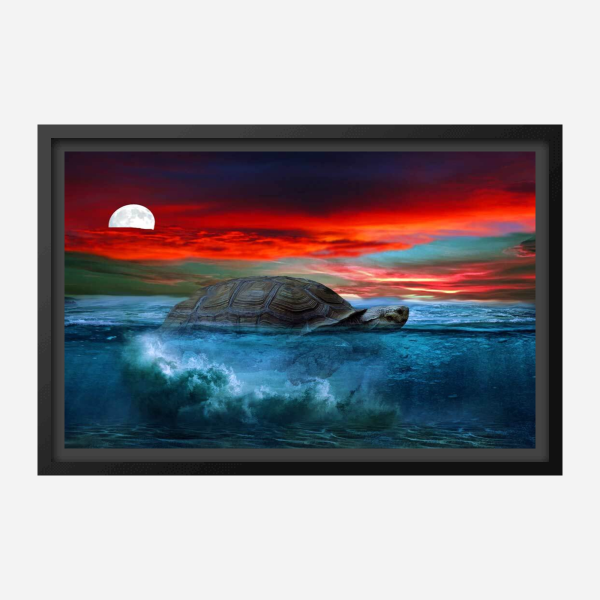 Turtle Painting Artwork