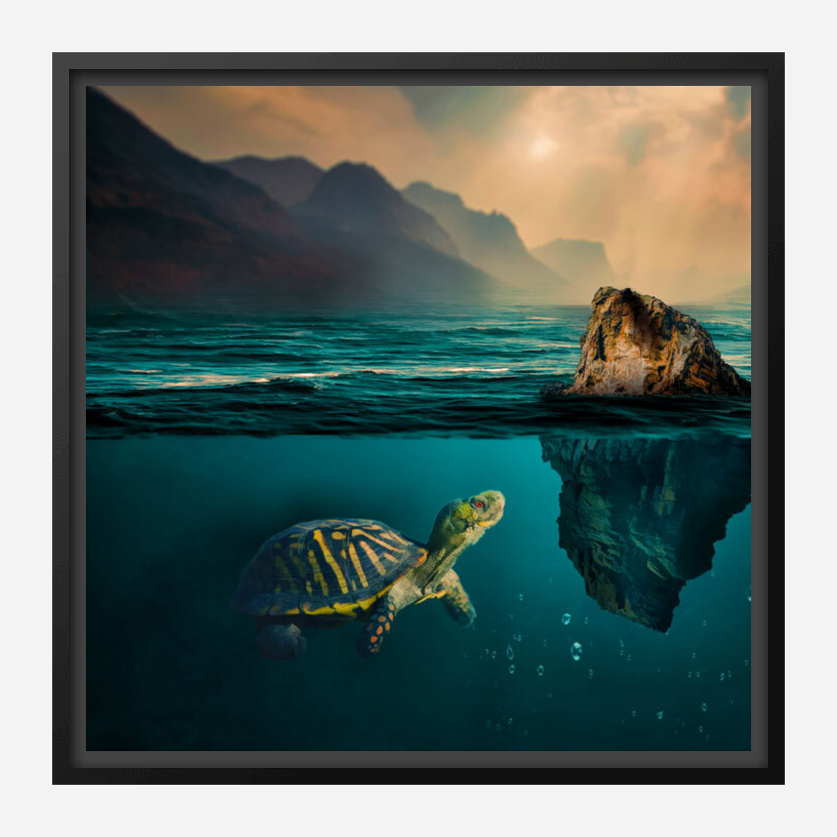Turtle  Art Painting