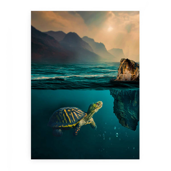 Turtle  Art Painting