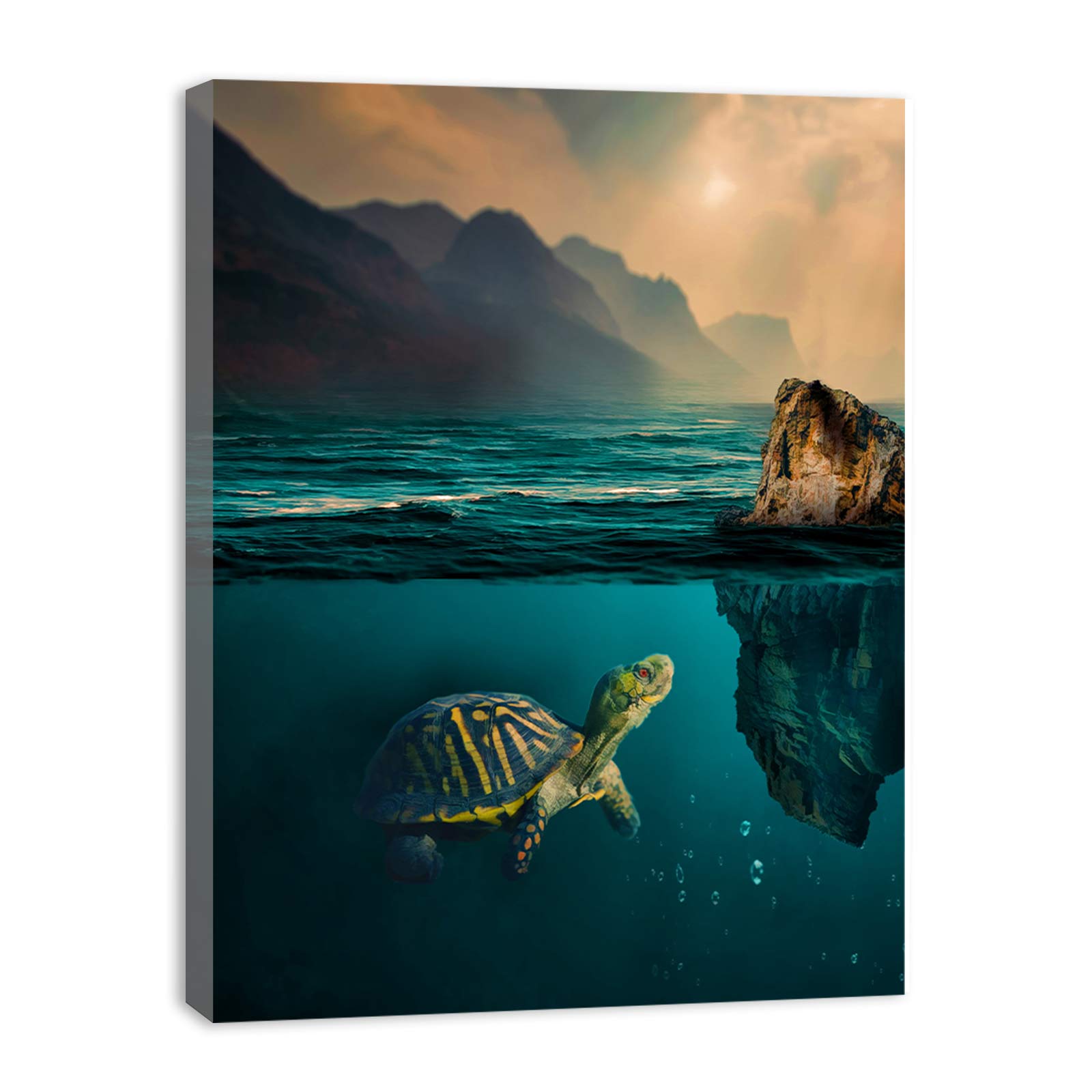 Turtle  Art Painting