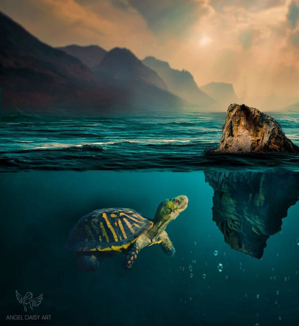 Turtle  Art Painting