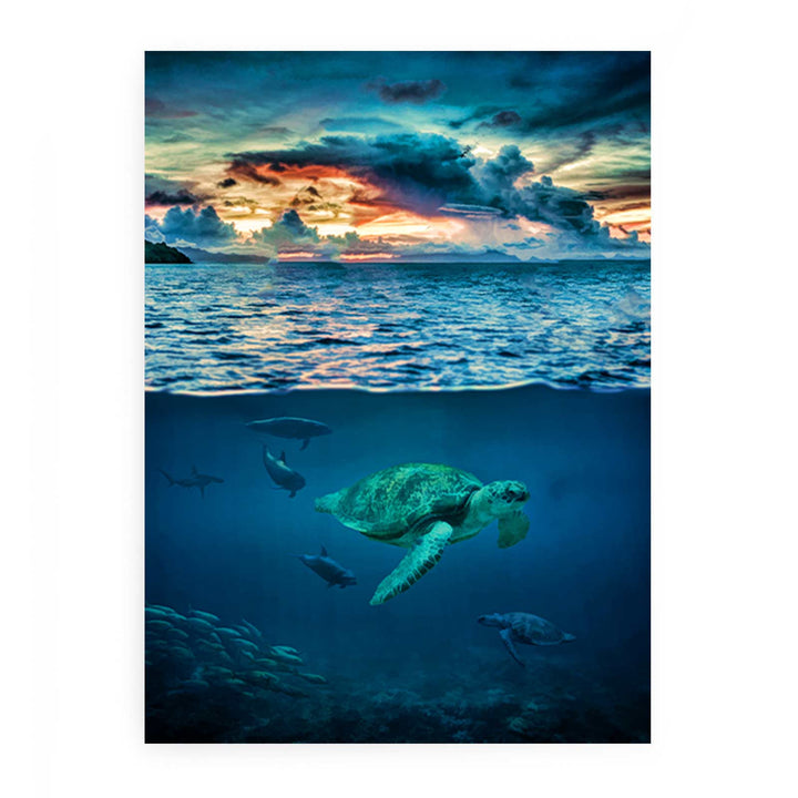 Turtle  Wall art Oil Painting