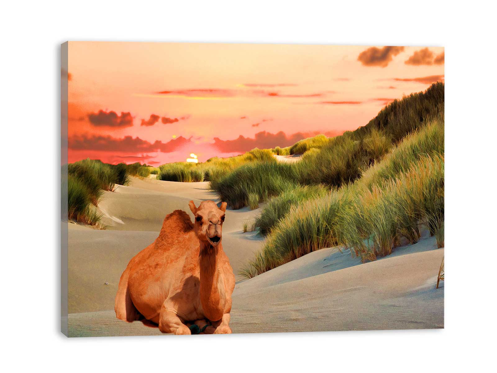 Camel Wall Art Painting
