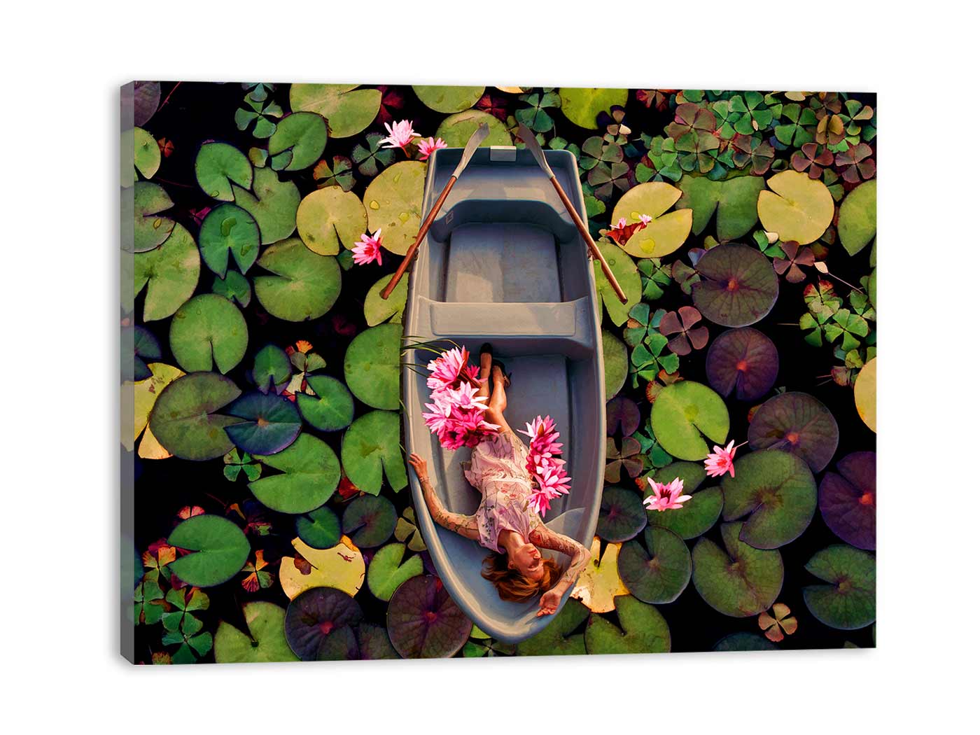Lily Flower Boat Art Painting