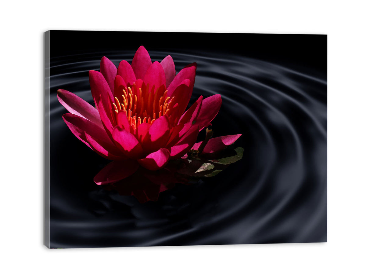 Lily Flower  Art Painting