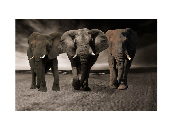 Elephans Painting