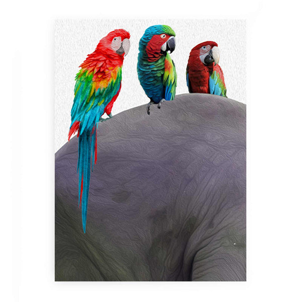 Australian Parrot Painting