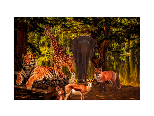 Animal Group Painting
