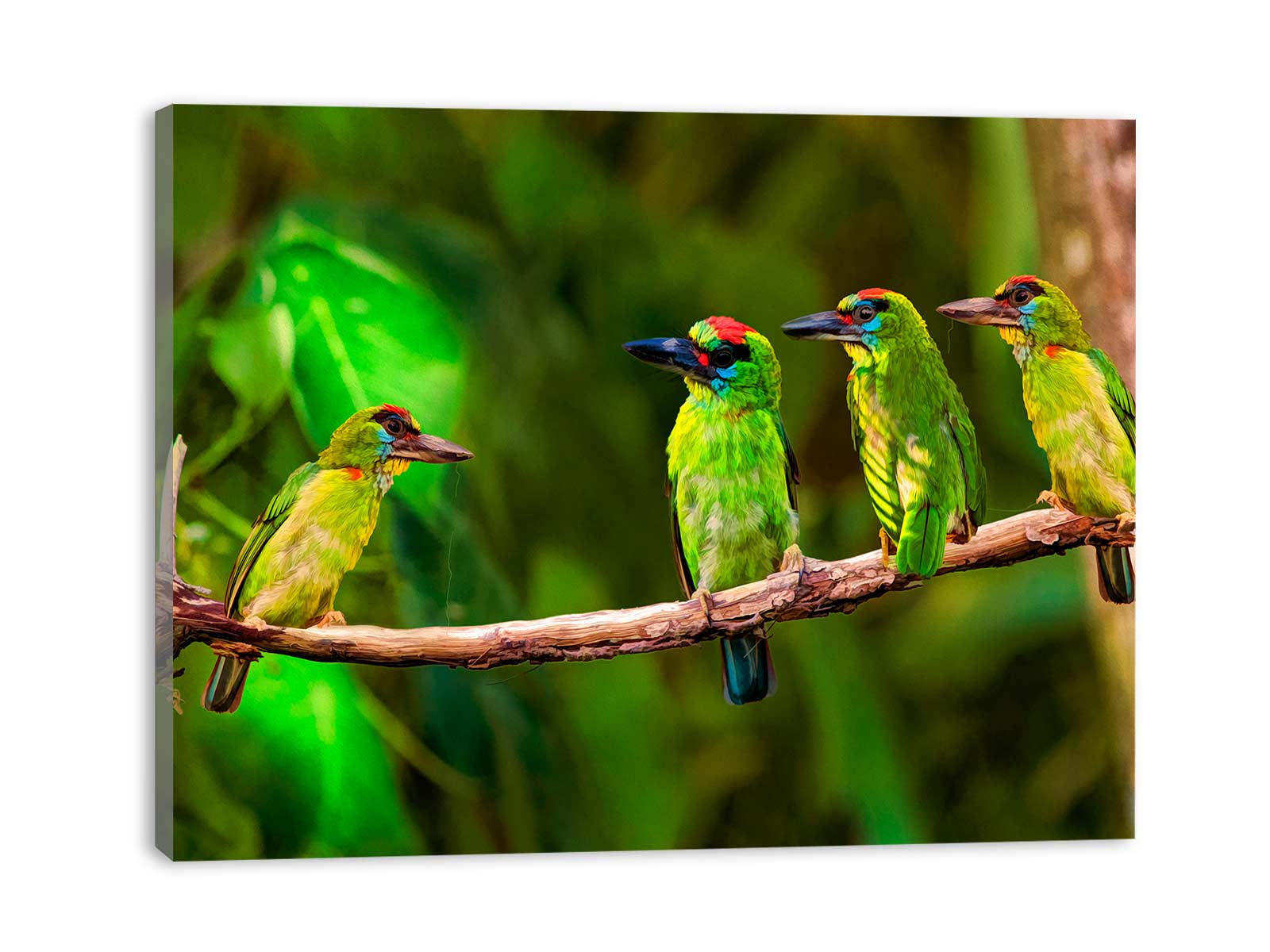 Birds Painting