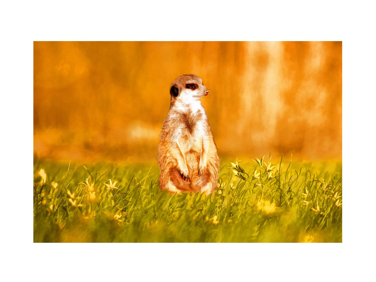 Standing Meerkat Painting