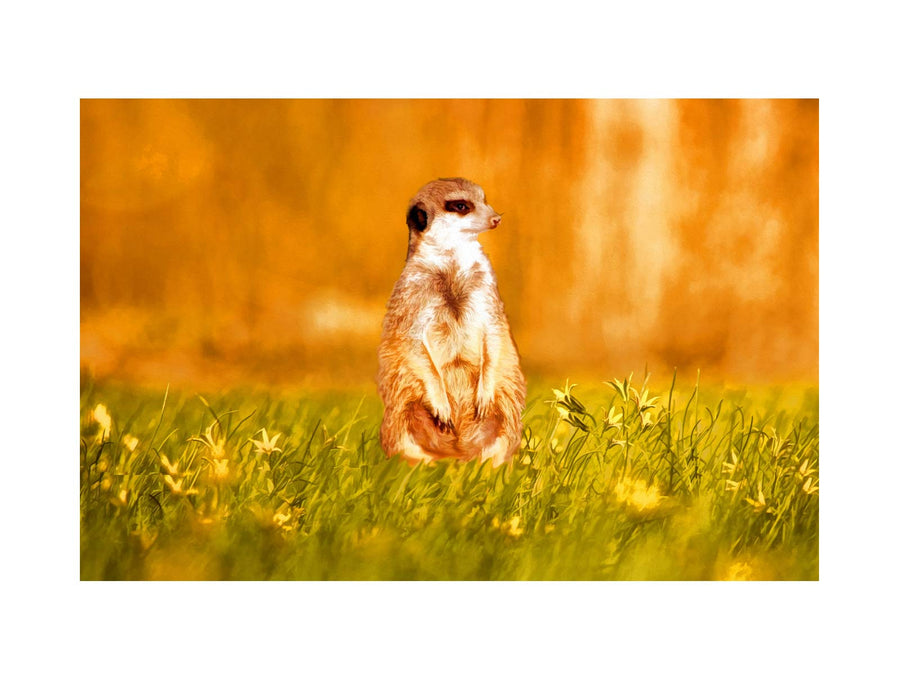 Standing Meerkat Painting