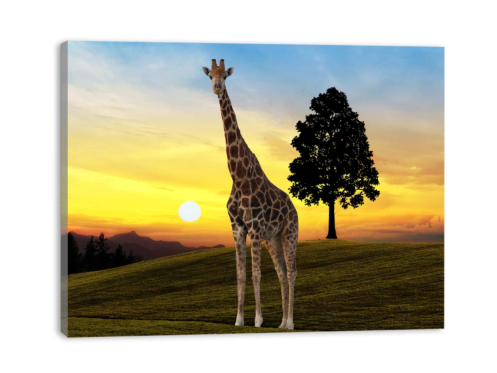 Giraffe Painting
