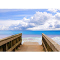  Beach Path to sea Painting